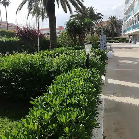 La Primavera Solo Familias Serviplaya